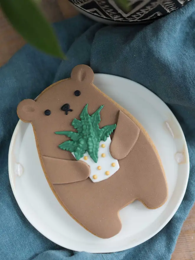 Plant Biscuit Bear 