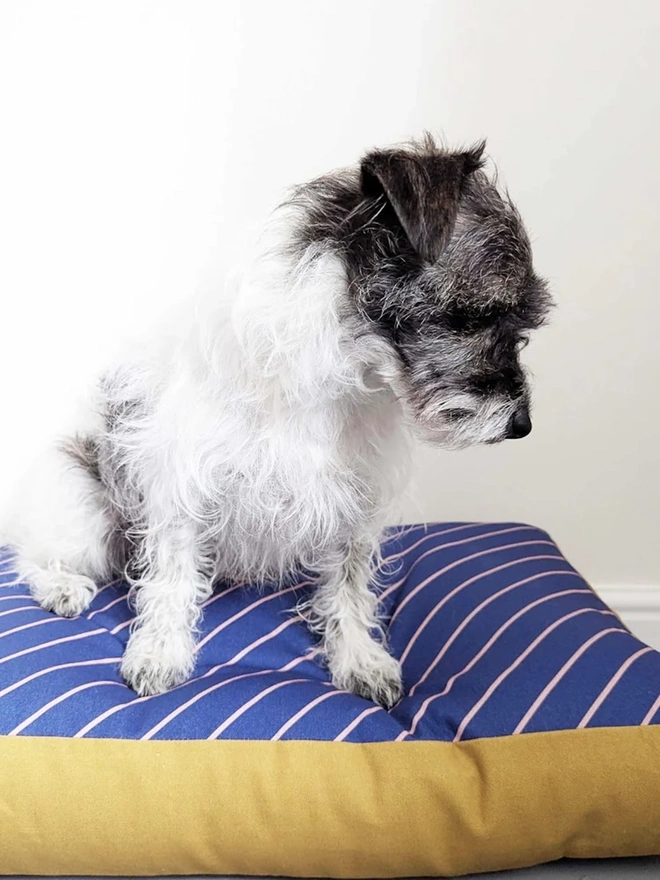  Printed Cotton Patterned Dog Bed, a dog sitting on a patterned dog bed on a tiled floor in front of a white wall. 