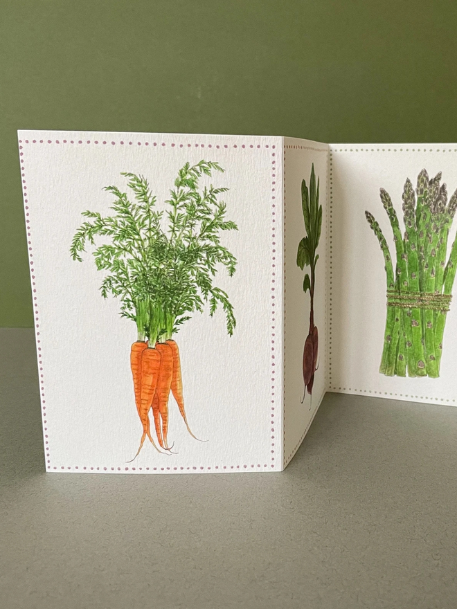 Vegetable Concertina Card