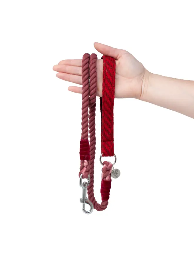 red rope dog lead held in hand on white background