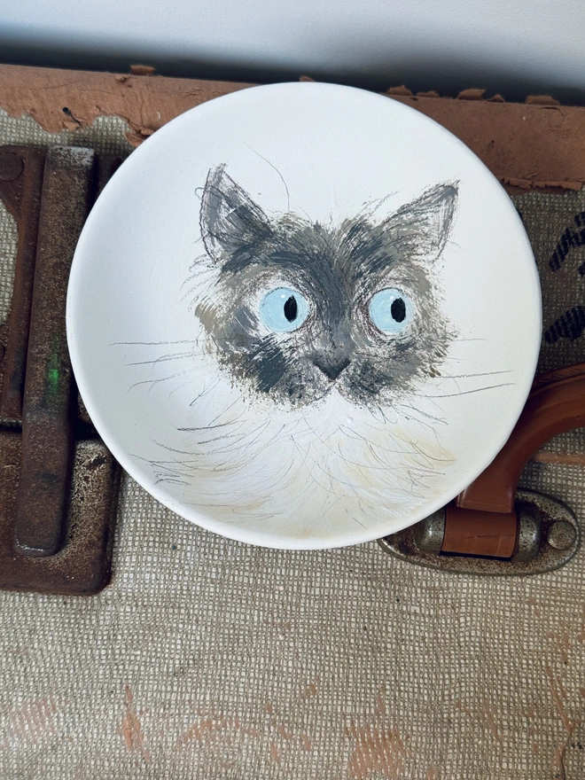 Personalised Cat Portrait Plate