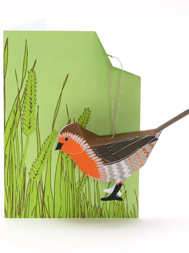 Card With 3D Robin Ornament