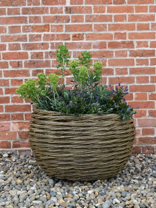Willow Woven Basket