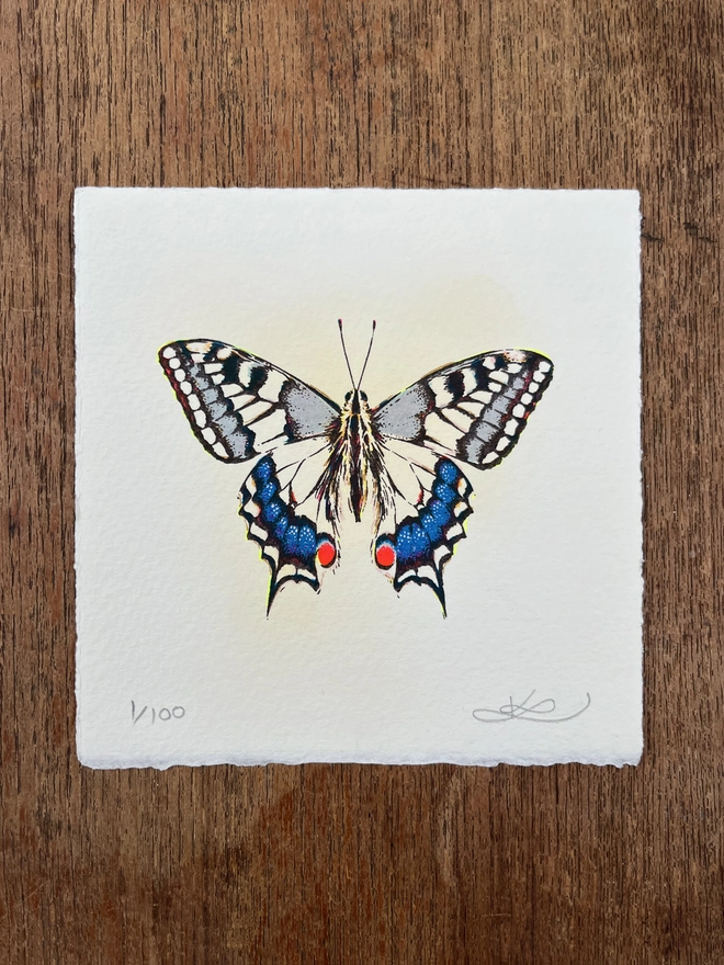 Swallowtail Butterfly Screenprint