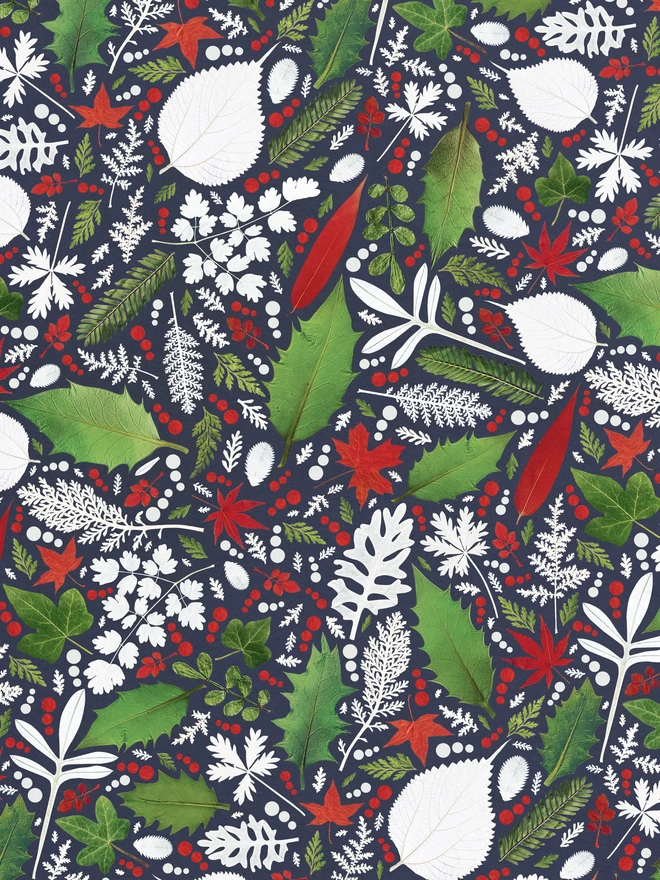 Recycled and recyclable Christmas gift wrap paper with pressed Winter leaves design in red, green, and white on dark blue background