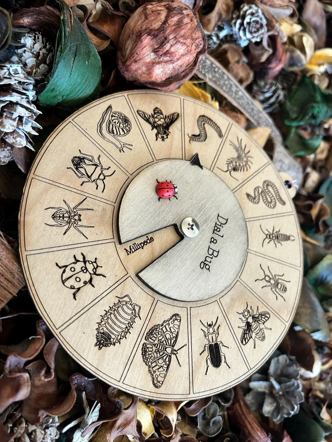 Round wooden insect identification dial toy engraved with detailed bug illustrations, featuring a rotating pointer labeled ‘Dial a Bug’ and a small red ladybird marker, displayed on forest floor materials.