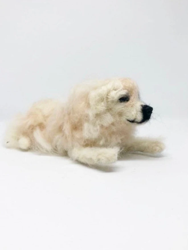 merino wool golden retriever portrait