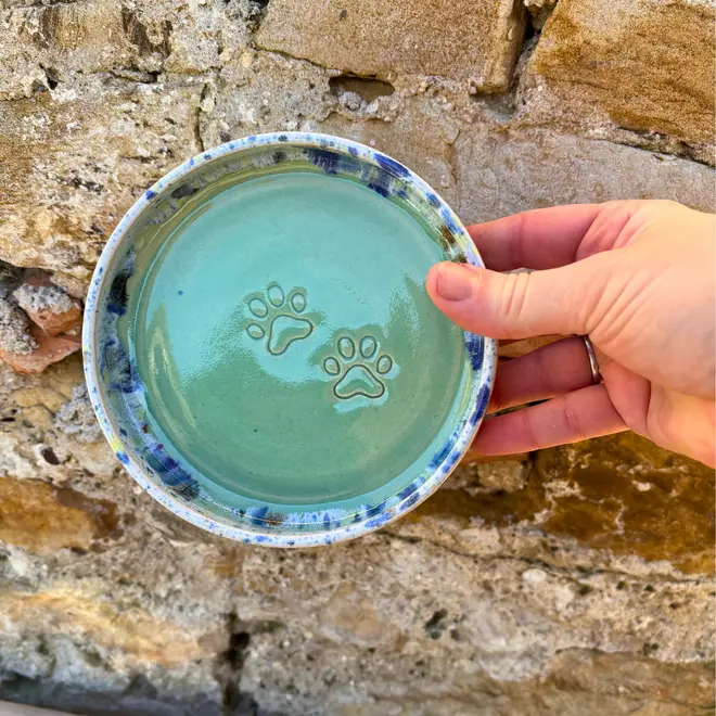 Shoreline Cat Bowl, a colourful cat bowl held against a brick backdrop. 