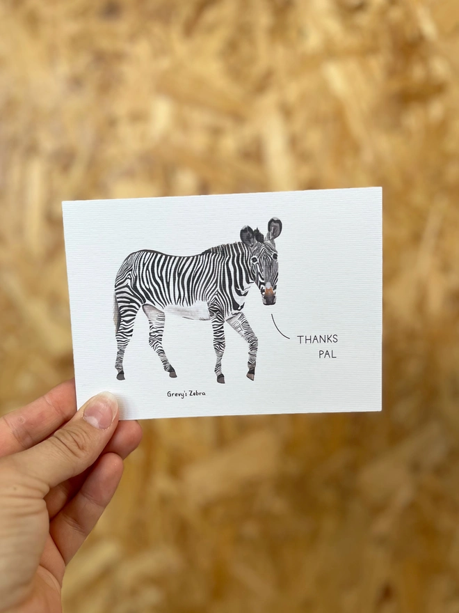 a greetings card featuring an illustration of a zebra with the text “thanks pal”
