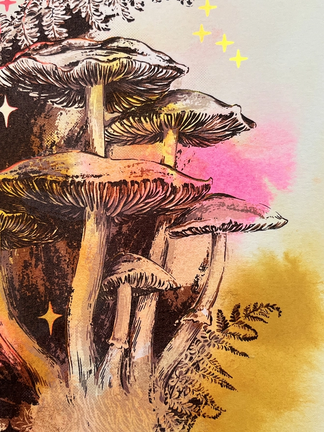 Kath Leone mushroom screenprinted limited edition art in oak frame with art glass