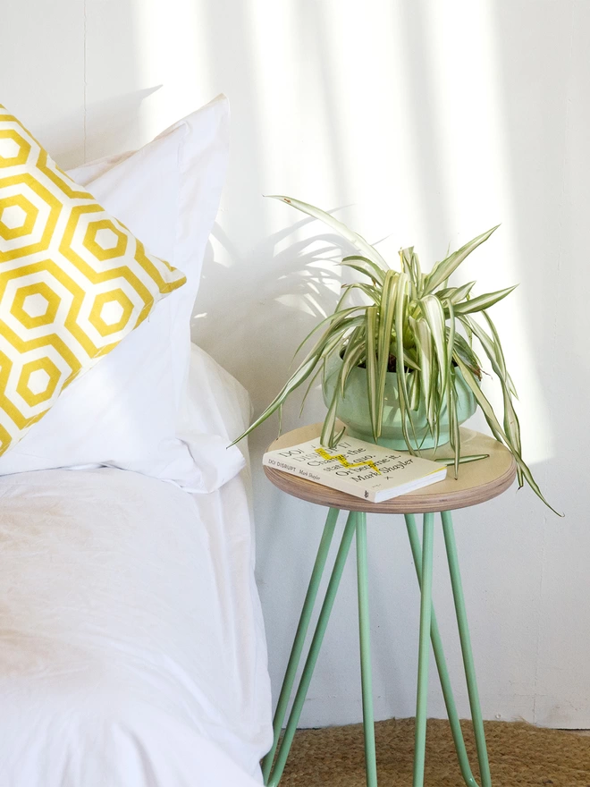 spider plant and book on a bedside table with plywood top and mint green hairpin legs