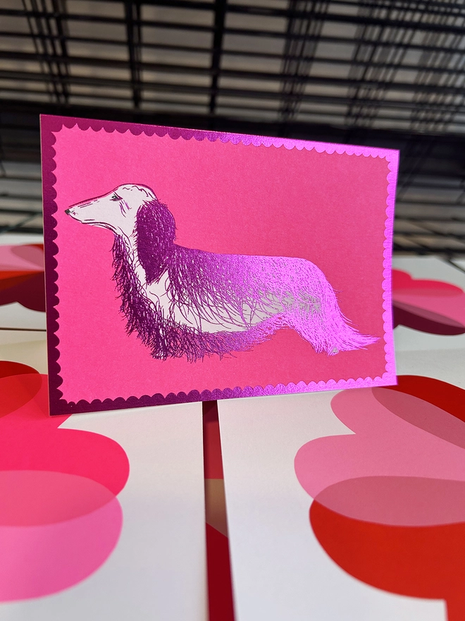 Long Hair Dachshund sausage Dog, Gold, Card, Hannah Carvell