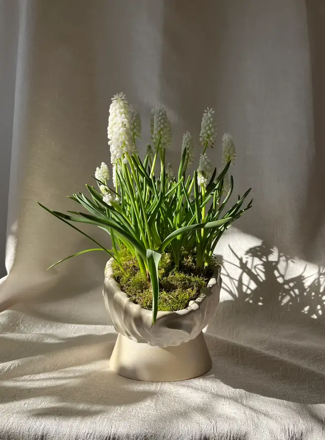 Textured Oval Pedestal Planter Opal, an opal planter sitting on a linen surface. It is accompanied by some plants. 
