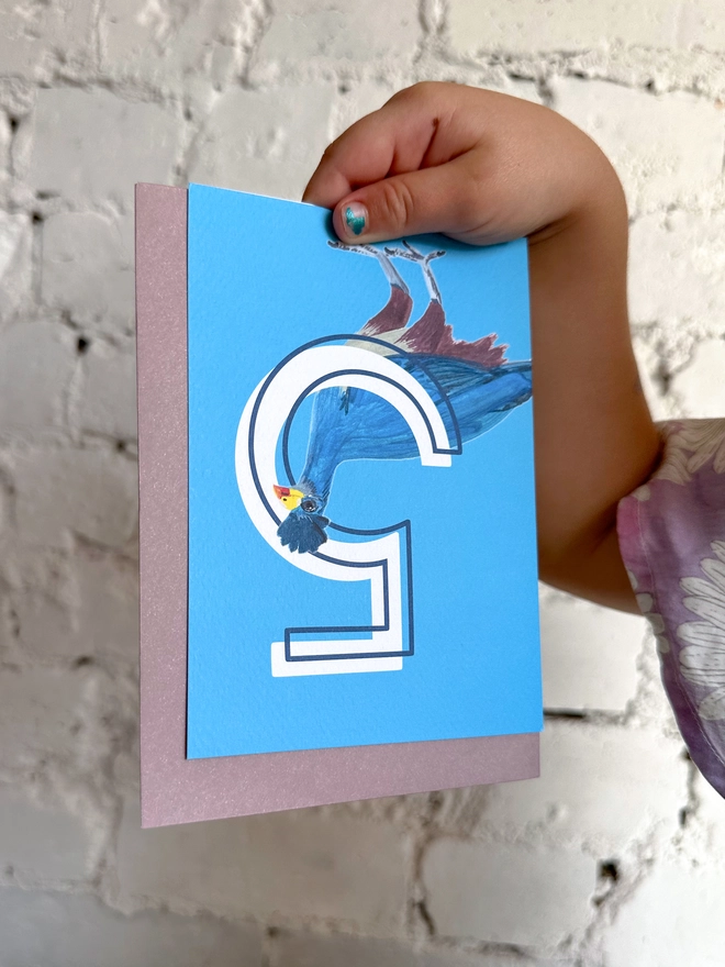 bright blue card featuring a big white number 5 and a turaco bird illustration with a purple envelope
