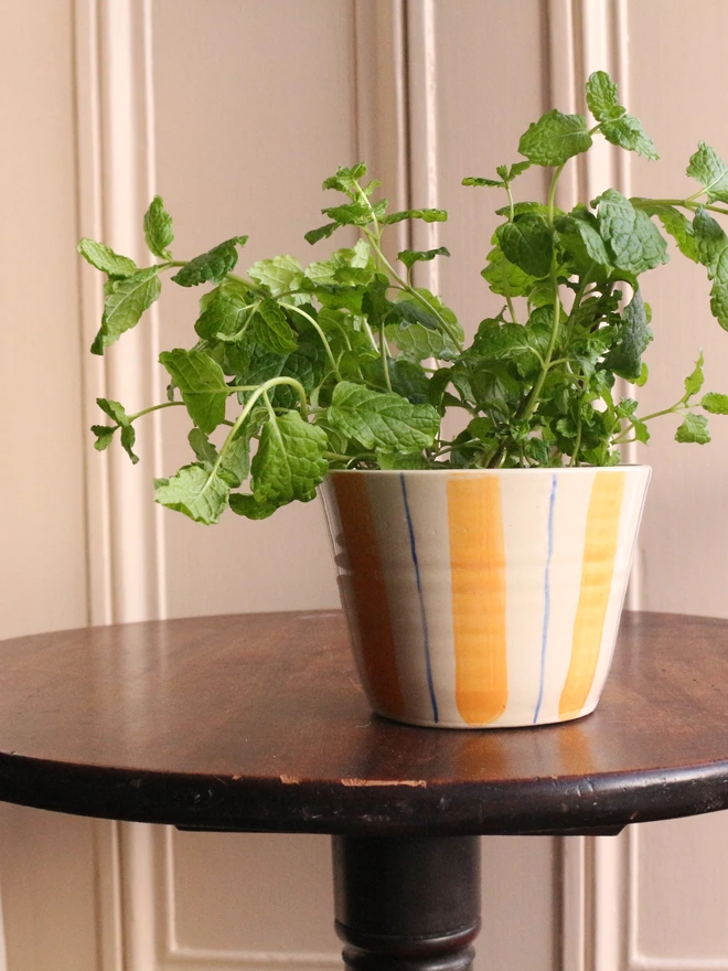 Perfect for your cottage kitchen - ceramic herb pot