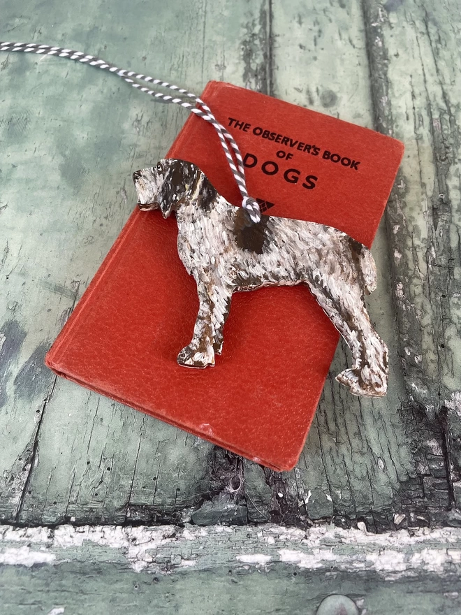 Close-up shot of A spinone dog memorial portrait placed on a book about dogs