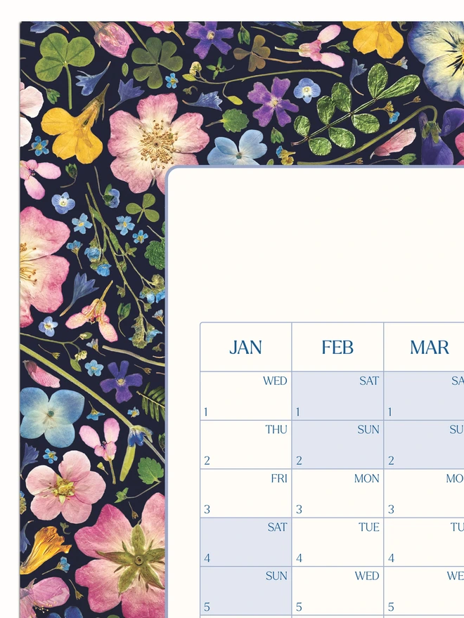 Close-up of a pressed flower yearly wall planner. A 2025 calendar with a pretty floral design. Perfect for the home office or studio. Makes a great home office gift or Christmas present for nature lovers.