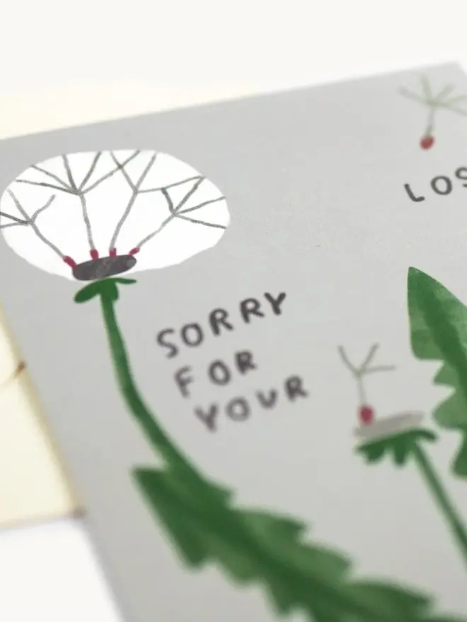 grey sorry for your loss card with dandelion