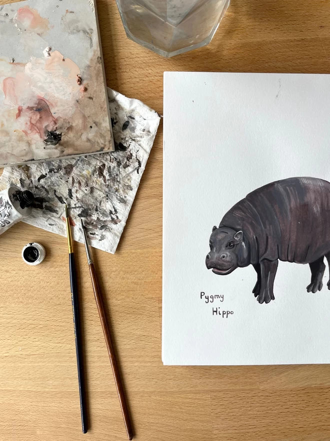 Behind the scenes illustration of a Pygmy Hippo