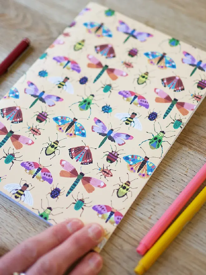 illustrated insects notebook