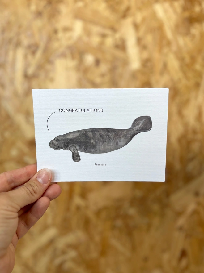 a greetings card featuring an illustration of a dolphin waving its fin with the text “congratulations”