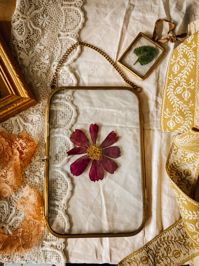 Pressed Cosmos Framed Keepsake