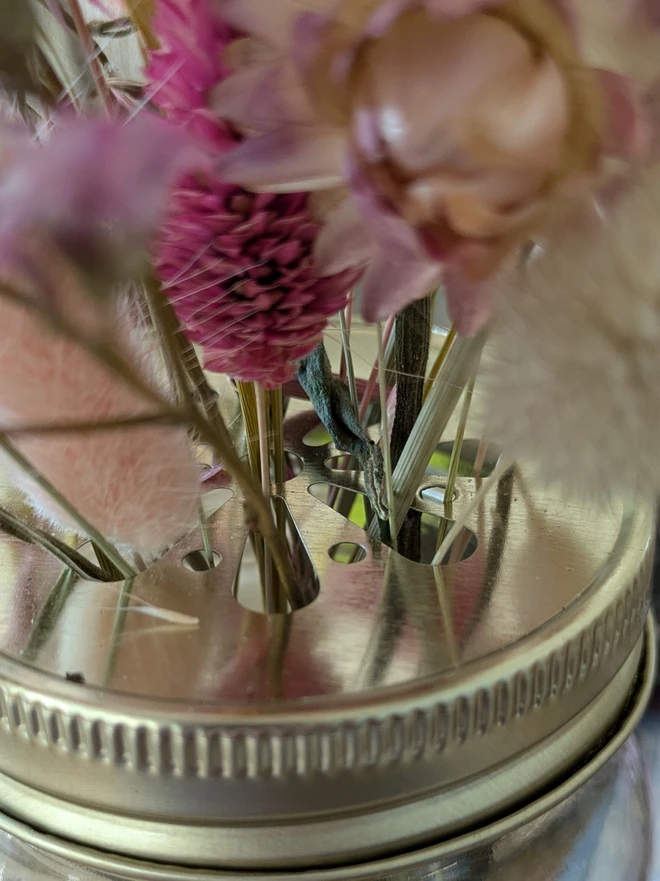 close up of daisy lid with dried flowers