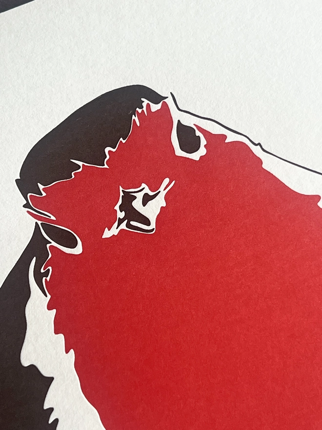 Close up of the Robin.