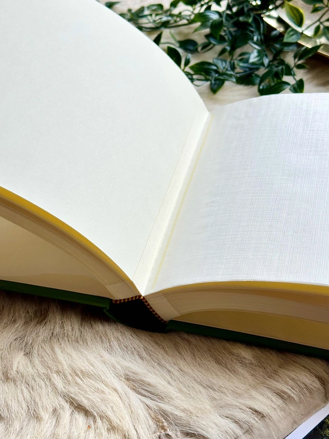 a photo album lies open on a rug. You can see the pages are completely plain and that they have glassine interleaves.