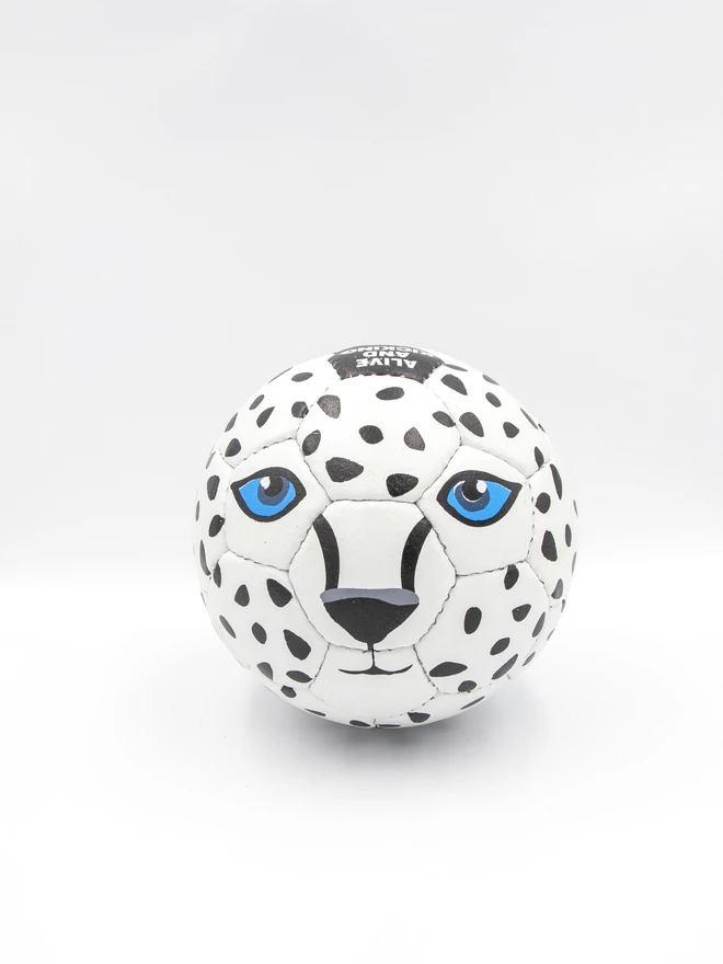 Snow Leopard Football