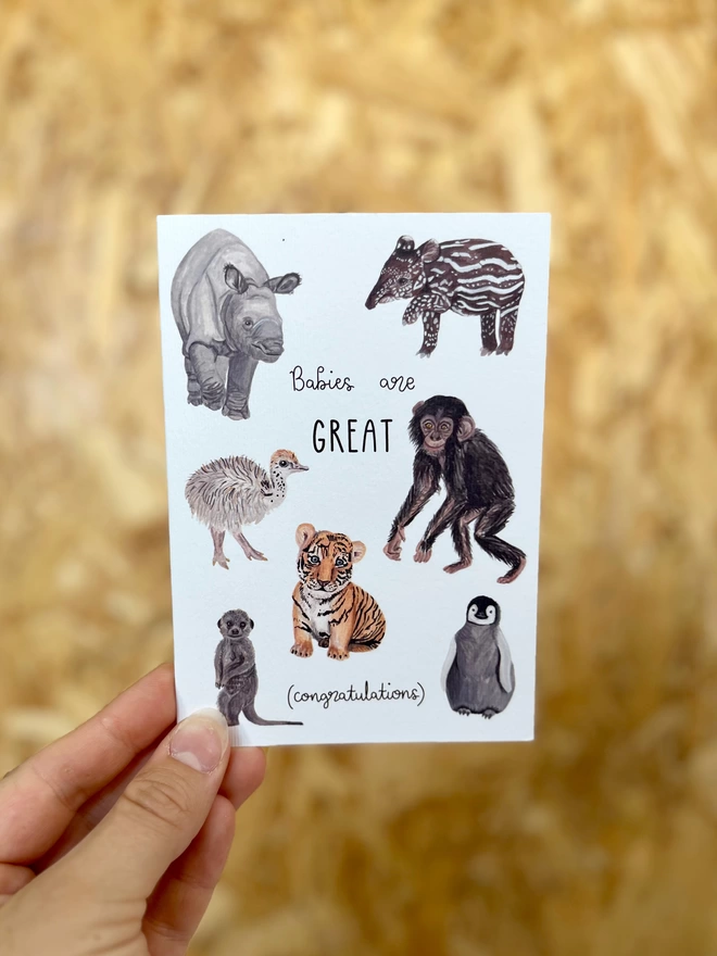 greetings card featuring seven baby animals (a rhino, a chimp, an ostrich, a meerkat, a tapir, a penguin and a tiger) with the phrase “babies are GREAT - congratulations”