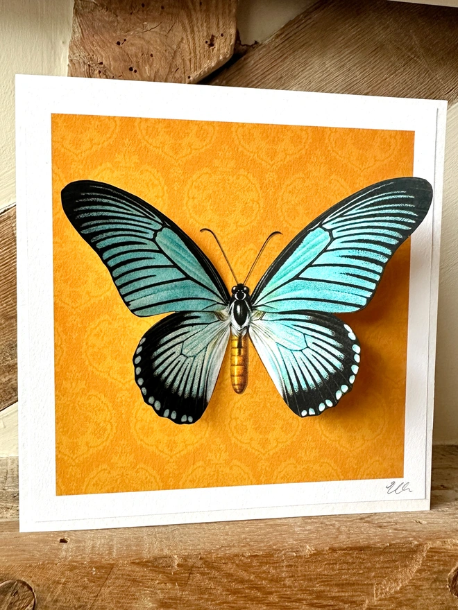 A bright, hand made card featuring a giant, blue, swallowtail butterfly on a vibrant, orange, background. The butterflies wings measure 12cm in width and have been hand cut. This makes the butterfly wings 3D when displayed and pulled forward. The card is perfect for nature lovers.