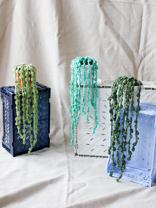 Three crocheted string of pearls plants