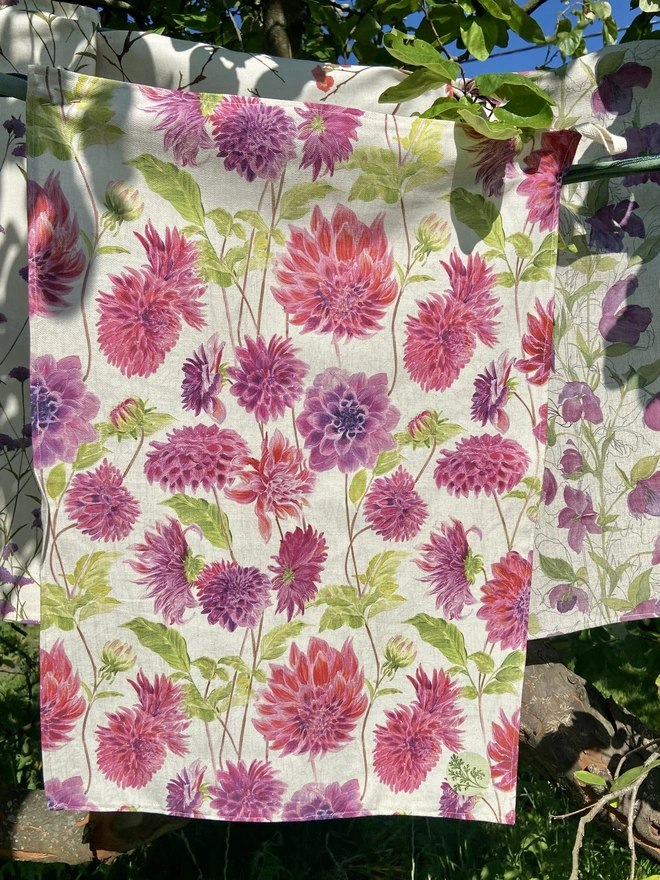 Dahlia print tea towel covered in pink hand painted dahlia flowers