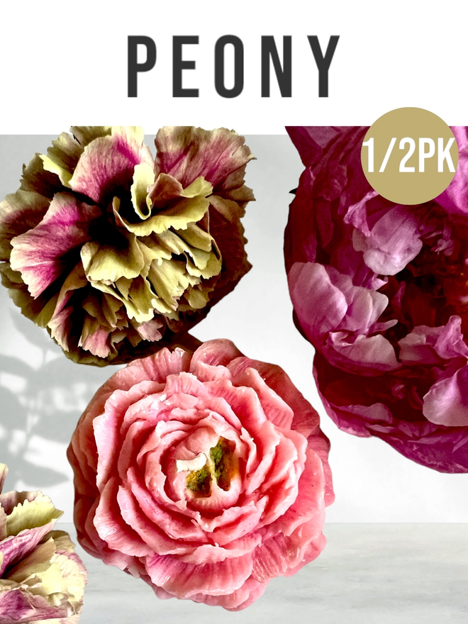 PEONY CANDLE - BOTANY COLLECTION