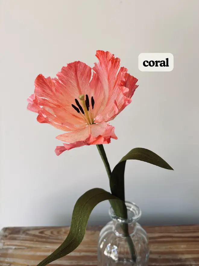 paper tulip in coral colour