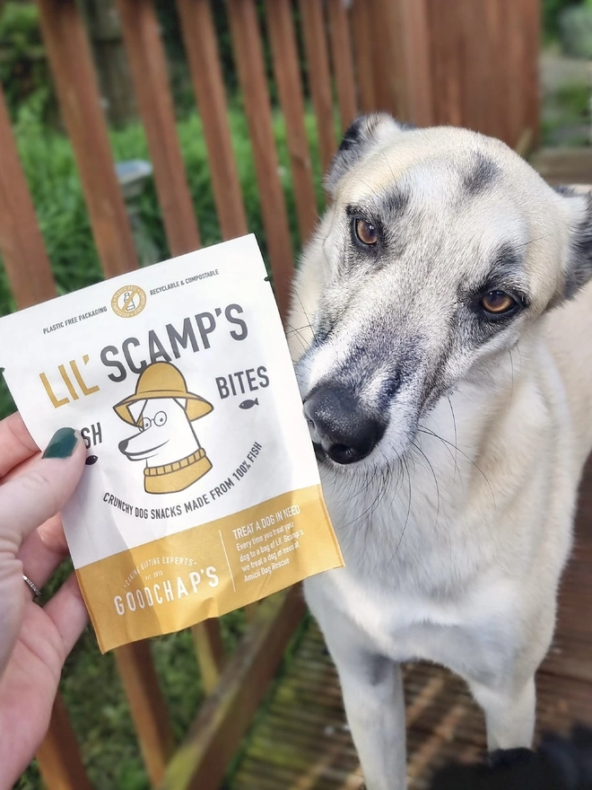 Lil' Scamp's Fish Bites Dog Treats