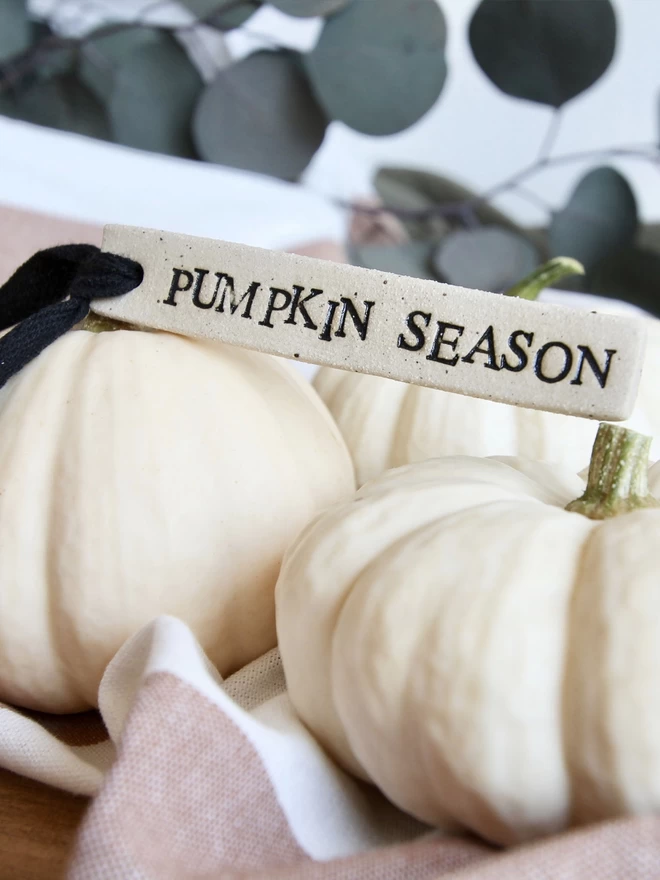 white pumpkins tied with a ceramic tag that reads 'pumpkin season'