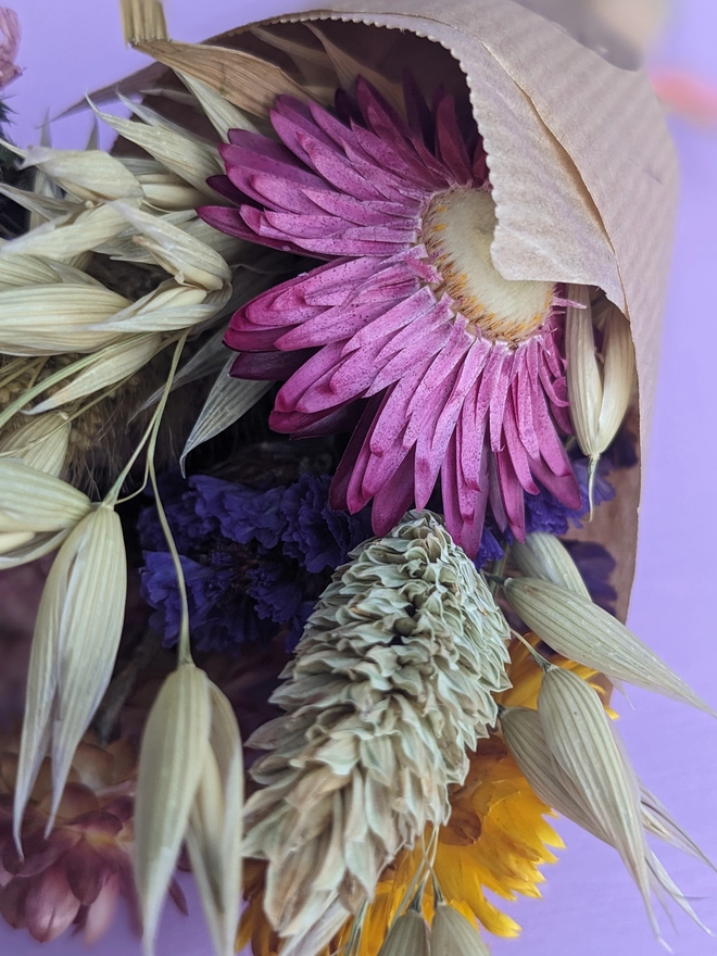 Everlasting dried flowers, natural dried flowers, bunny tails, pink flowers, dried flower bouquet, home, vase