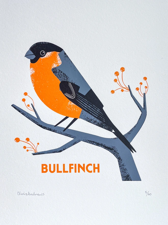 A screenprint of a Bullfinch bird on white paper against a navy blue background. The artwork is signed at the bottom