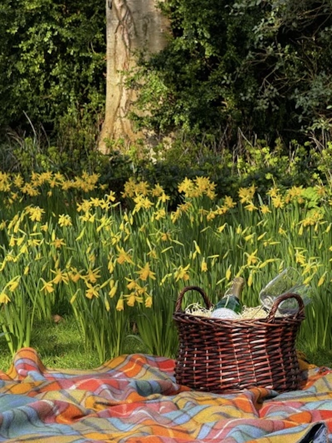 Buchanan Antique Picnic Blanket, a colourful picnic blanket sitting outdoors. It is accompanied by a wooden hamper of picnic food. 