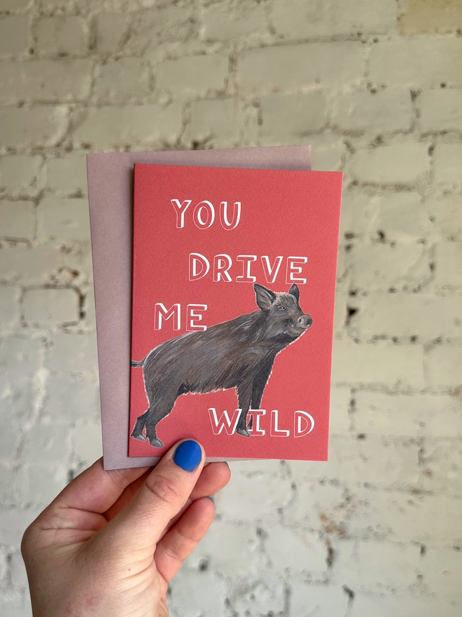 a red greetings card featuring an illustration of a wild boar with the text “you drive me wild” with a muted purple envelope