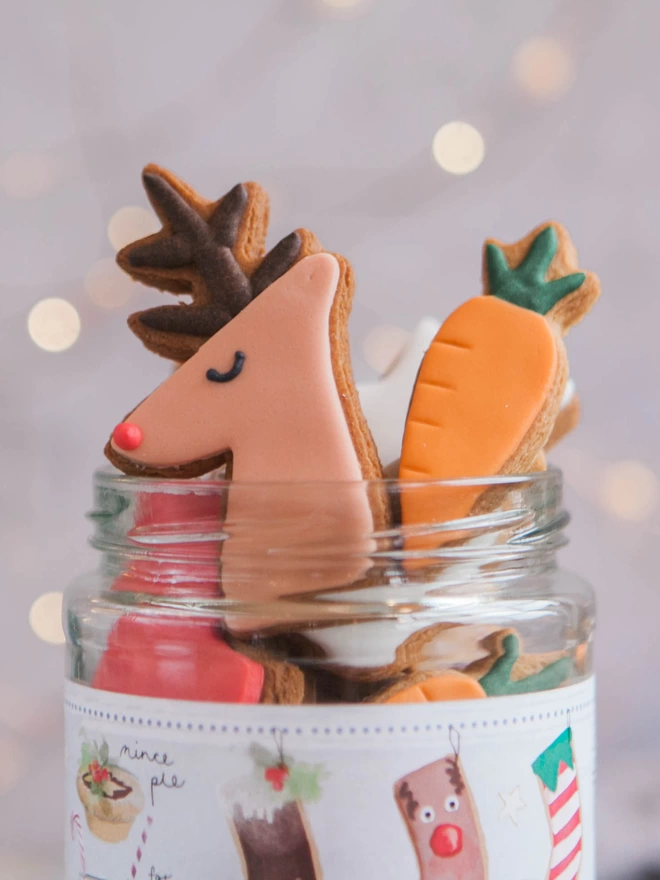 Christmas biscuits in a jar