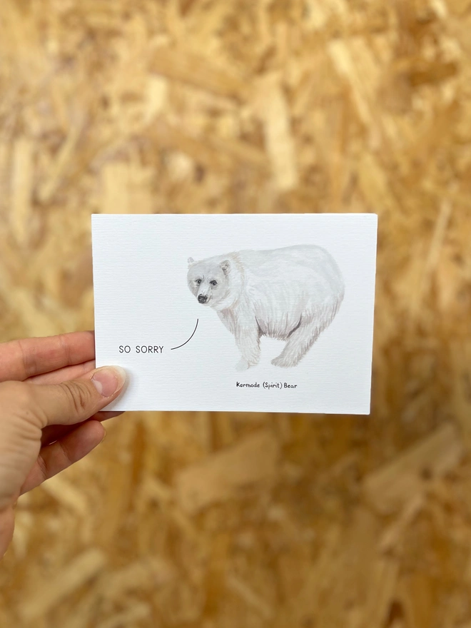 a greetings card featuring an illustration of a kermode bear with the text “so sorry”