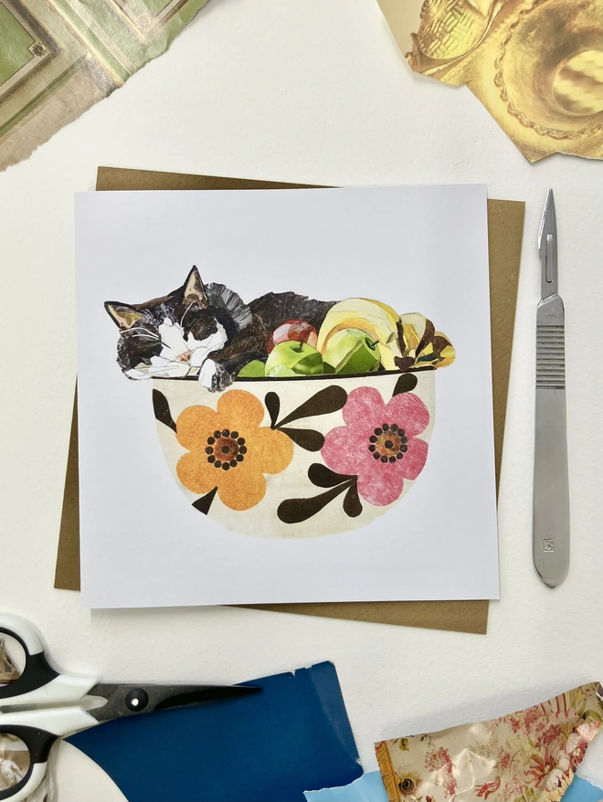 Cat in a Fruit Bowl Greetings Card