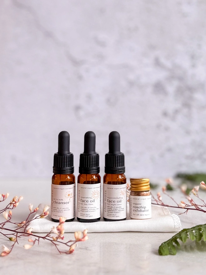 organic skincare travel set