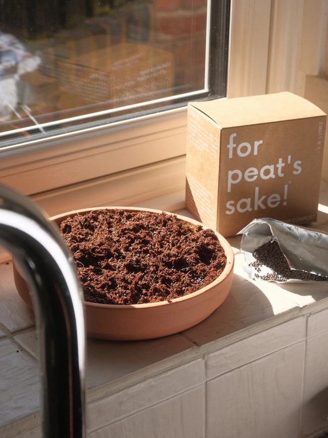 for peat's sake! peat-free coir compost being used to grow micro green seeds