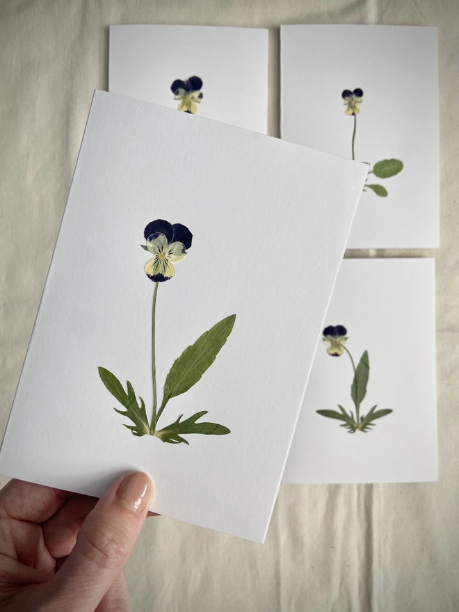 Hand holding pressed pansy flower greeting card