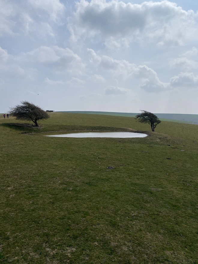 Borders of Brighton