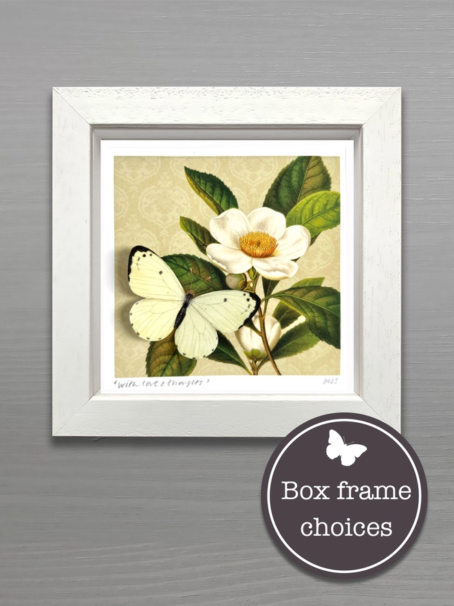 Photo showing the butterflygram in a bespoke white box frame as a keepsake gift.